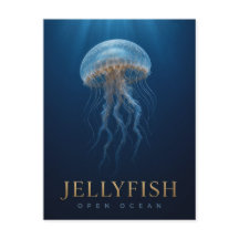 クラゲ 開けた海の野生生物 動物
