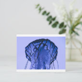 クラゲ（青） ポストカード (スタンド正面)