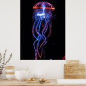 クラゲ–113384素晴らしい写真海洋生物ゼリー ポスター (キッチン)