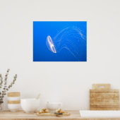 クラゲ–474059クラゲ触手に有毒 ポスター (キッチン)