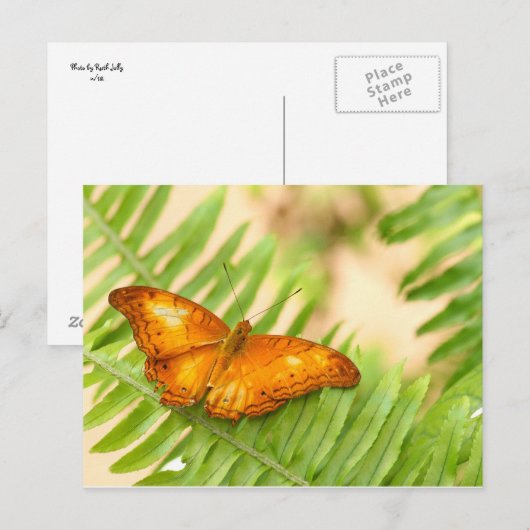 クラシエ蝶 ポストカード (正面/裏面)
