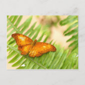 クラシエ蝶 ポストカード (正面)