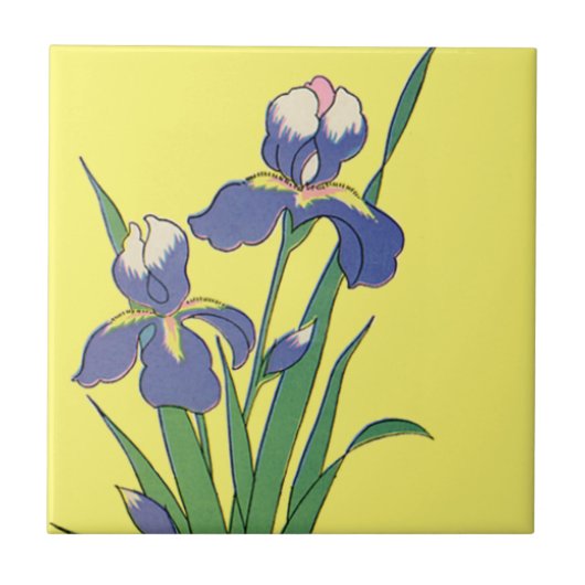 クラシカルなアヤメの花 タイル (正面)