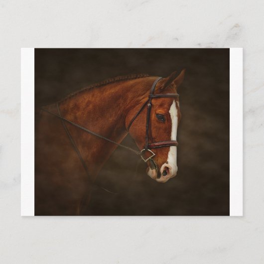 クラシカル ポストカード (正面)