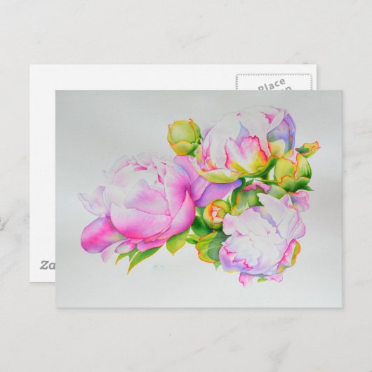 クラシックでエレガントなピンクと白の芍薬の花の水彩画 ポストカード (正面/裏面)