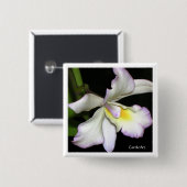 クラシックで白い蘭 缶バッジ (正面&裏面)