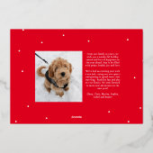 クラシックなクリスマスカードのスクリプト2枚の写真 箔シーズンカード (裏面)