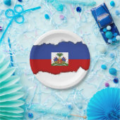 クラシックなハイチの旗 ペーパープレート (パーティー)