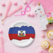 クラシックなハイチの旗 ペーパープレート (パーティー)