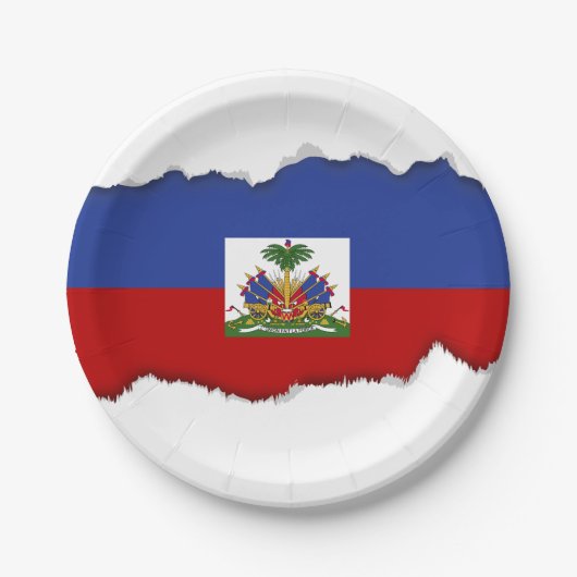 クラシックなハイチの旗 ペーパープレート (正面)