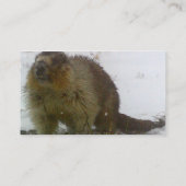 クラシックなビーバーの名刺 名刺 (裏面)