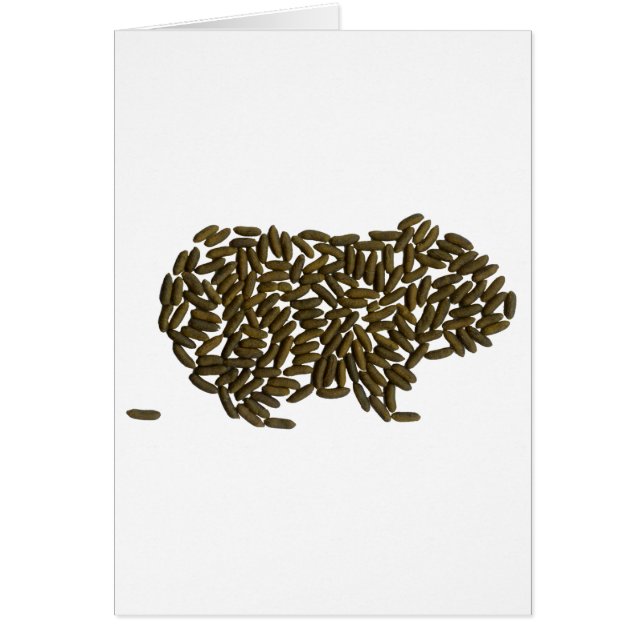 クラシックなモルモット (正面)