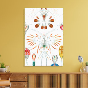 クラシックな海洋動物、エ른スト・ヘッケルによるコペポダ キャンバスプリント