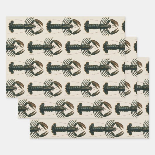 クラシックな海洋生物のロブスターの爪 ラッピングペーパーシート (セット)