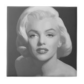 クラシックな美しい タイル (正面)