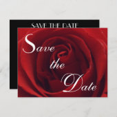 クラシックな赤いバラの保存日付の結婚式招待状 セーブザデート (正面/裏面)