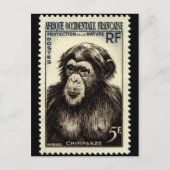 クラシックによって刻まれるスタンプの郵便はがき ポストカード (正面)