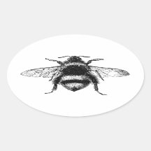 クラシックのまわりに