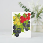 クラシックはがき ポストカード (スタンド正面)