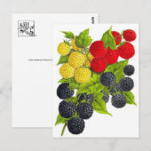 クラシックはがき ポストカード (正面/裏面)