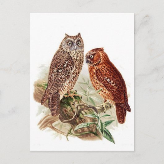 クラシックはがき ポストカード (正面)