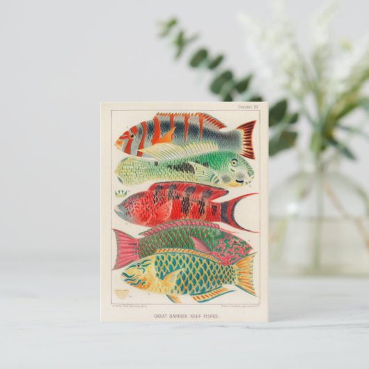 クラシックはがき ポストカード (スタンド正面)