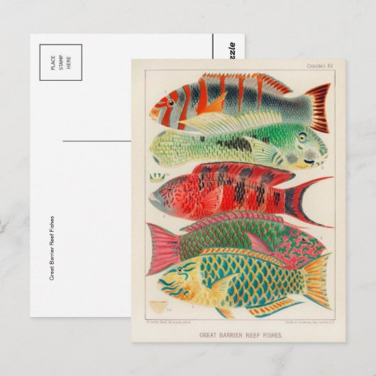 クラシックはがき ポストカード (正面/裏面)