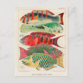 クラシックはがき ポストカード