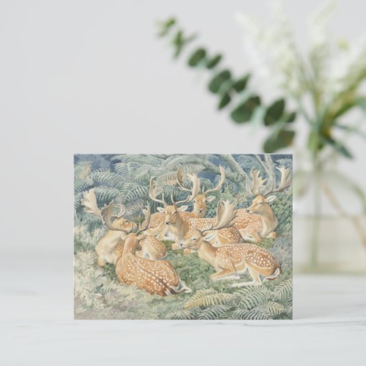 クラシックはがき ポストカード (スタンド正面)