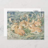 クラシックはがき ポストカード (正面/裏面)