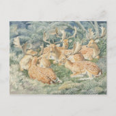 クラシックはがき ポストカード (正面)