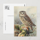 クラシックはがき ポストカード (正面/裏面)