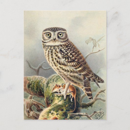 クラシックはがき ポストカード (正面)