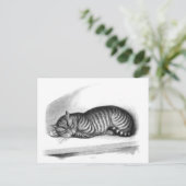 クラシックはがき ポストカード (スタンド正面)