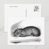 クラシックはがき ポストカード (正面/裏面)