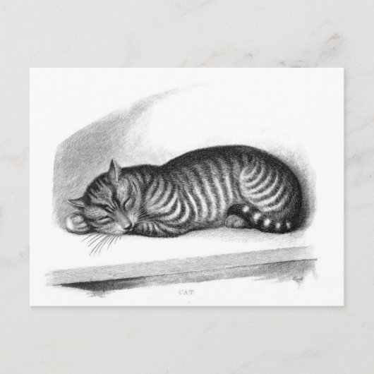 クラシックはがき ポストカード (正面)