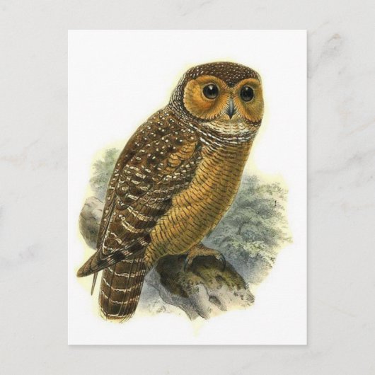 クラシックはがき ポストカード (正面)