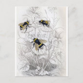 クラシックはがき ポストカード (正面)