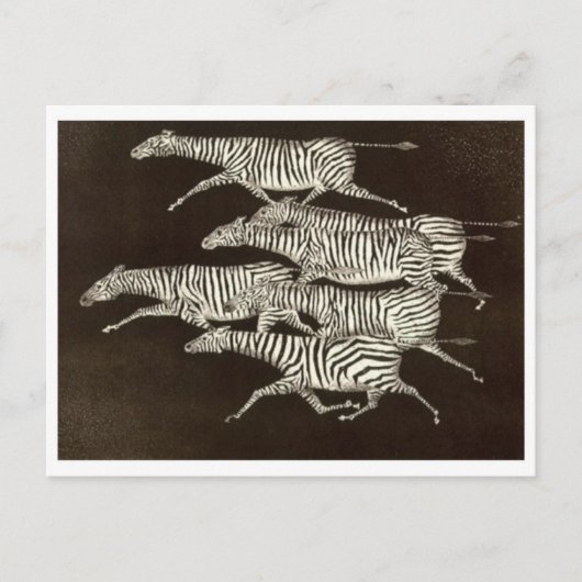 クラシックはがき ポストカード (正面)