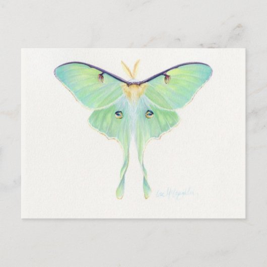 クラシックはがき ポストカード (正面)