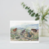 クラシックはがき ポストカード (スタンド正面)