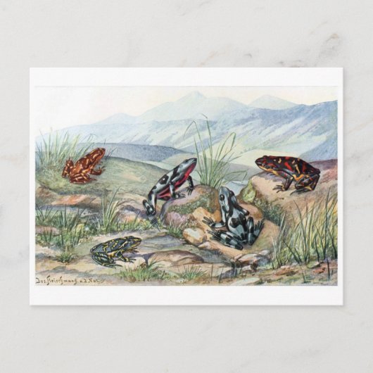 クラシックはがき ポストカード (正面)