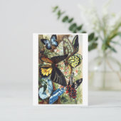 クラシックはがき ポストカード (スタンド正面)