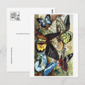 クラシックはがき ポストカード (正面/裏面)