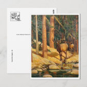 クラシックはがき ポストカード (正面/裏面)