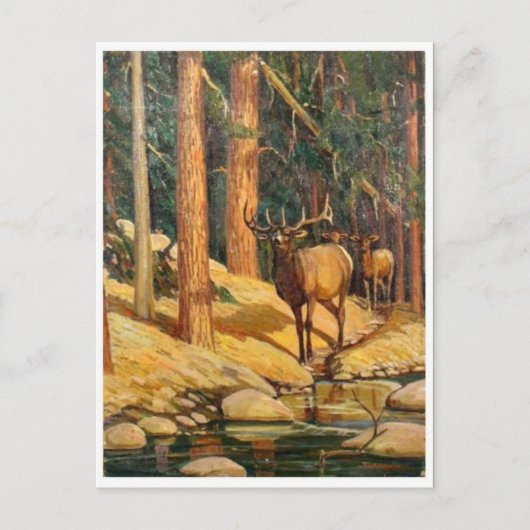 クラシックはがき ポストカード (正面)