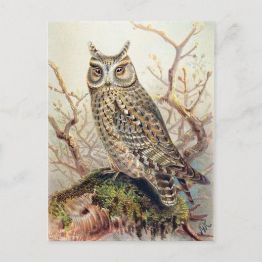 クラシックはがき ポストカード (正面)