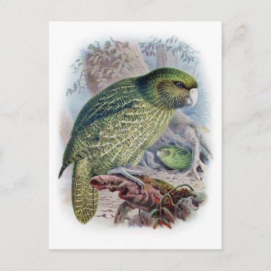 クラシックはがき ポストカード (正面)