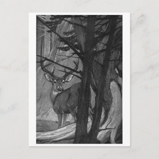 クラシックはがき ポストカード (正面)