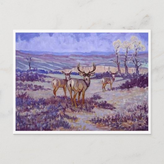 クラシックはがき ポストカード (正面)